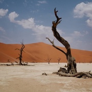 DVD/Blu-ray-Review: Nyos - Growl