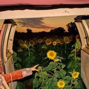 DVD/Blu-ray-Review: Kevin Morby - Little Wide Open